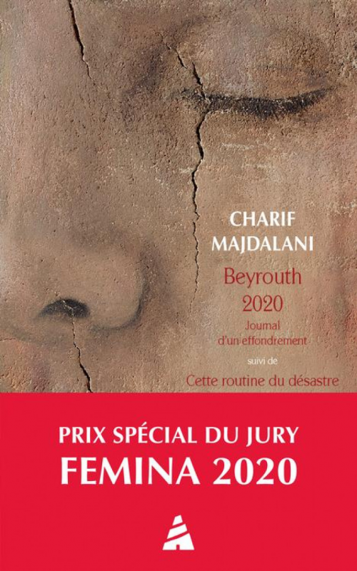 Beyrouth 2020, Journal d'un effondrement